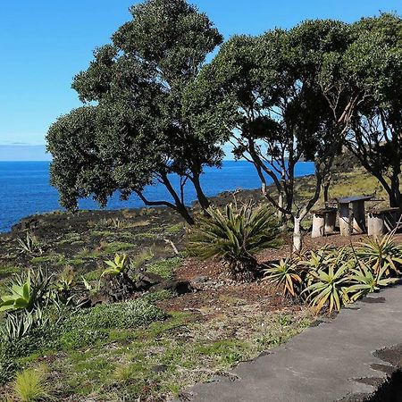 Casa D'Avo Francisco Konuk evi Madalena  Dış mekan fotoğraf