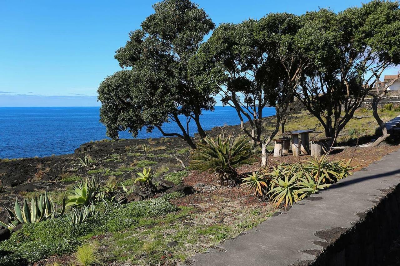 Casa D'Avo Francisco Konuk evi Madalena  Dış mekan fotoğraf
