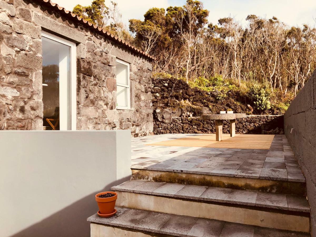Casa D'Avo Francisco Konuk evi Madalena  Dış mekan fotoğraf